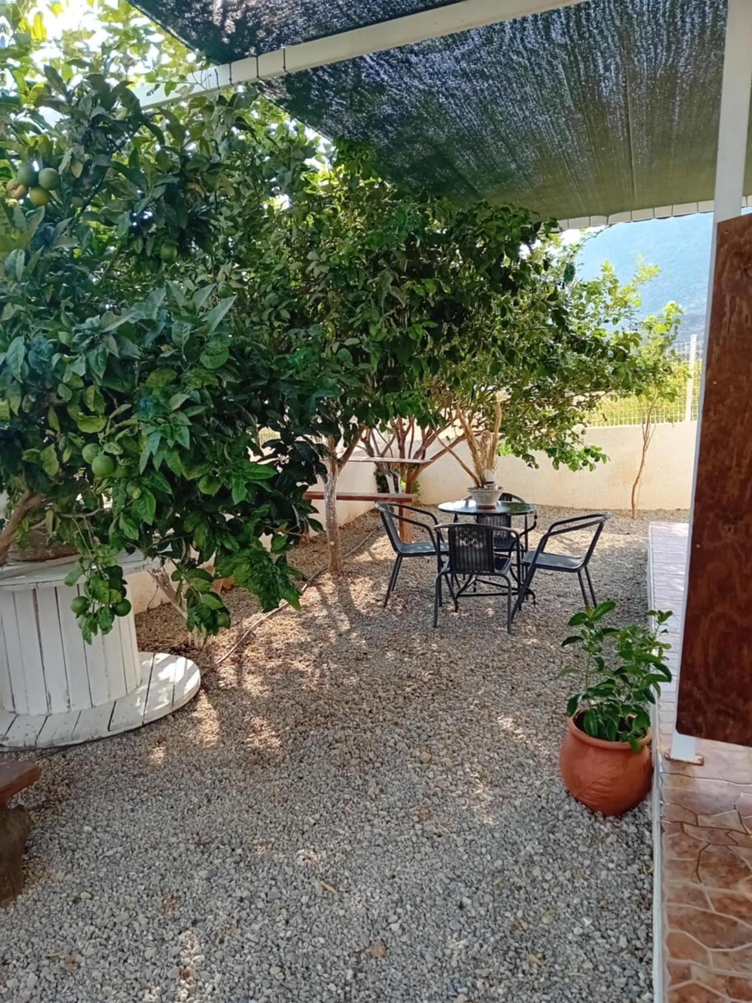 Studios Anna Maria With Sea View Kapetaniana ภายนอก รูปภาพ